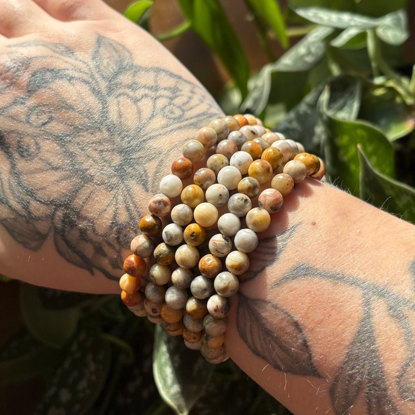 Crazy Lace Agate Bracelet