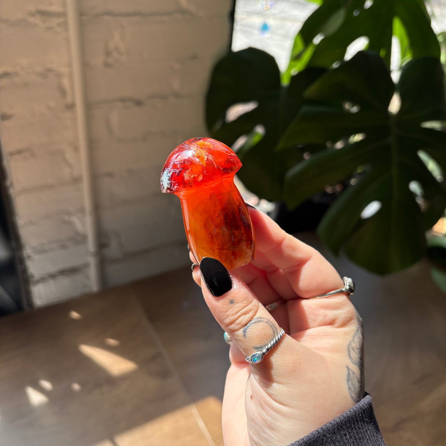 carnelian mushroom