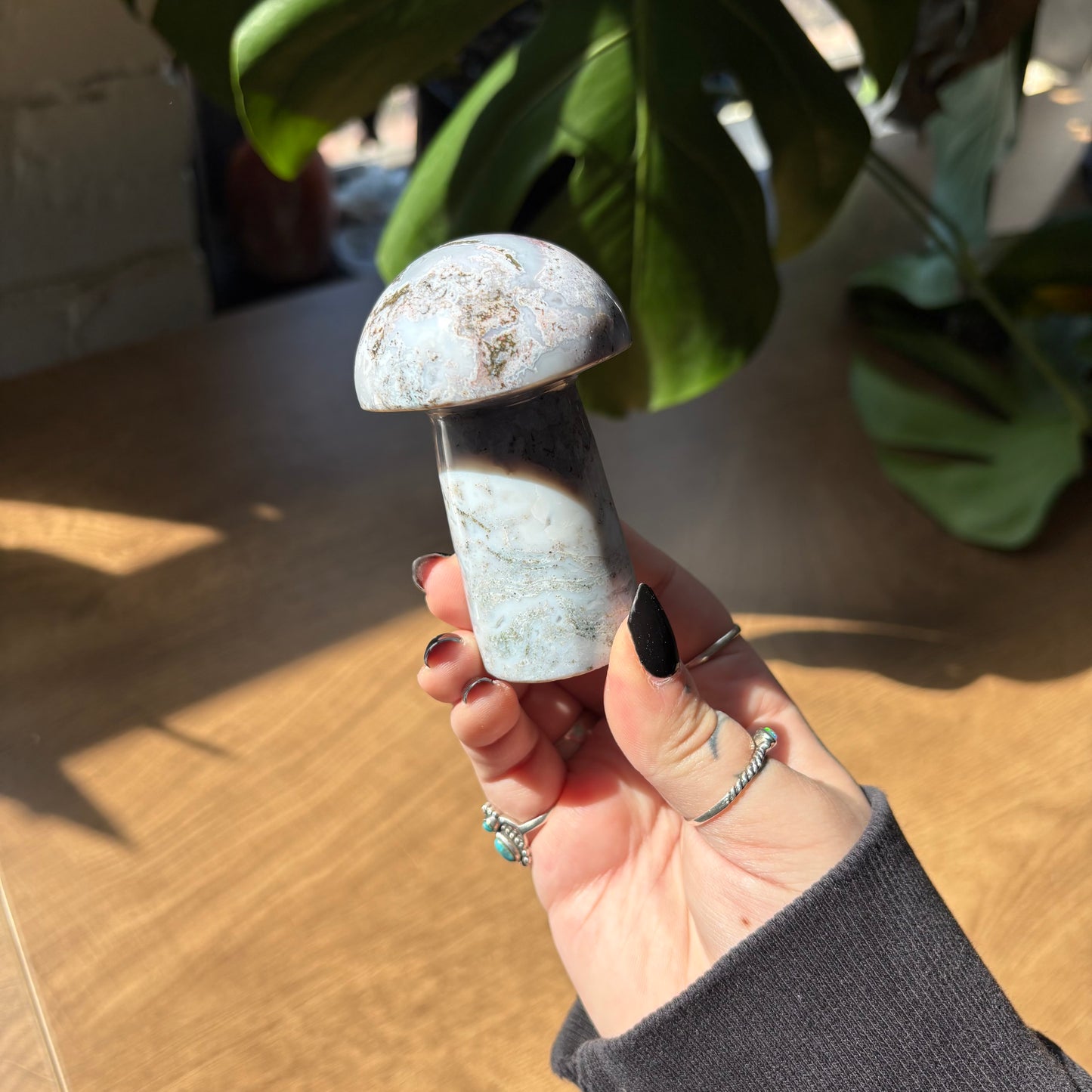 ocean jasper mushroom