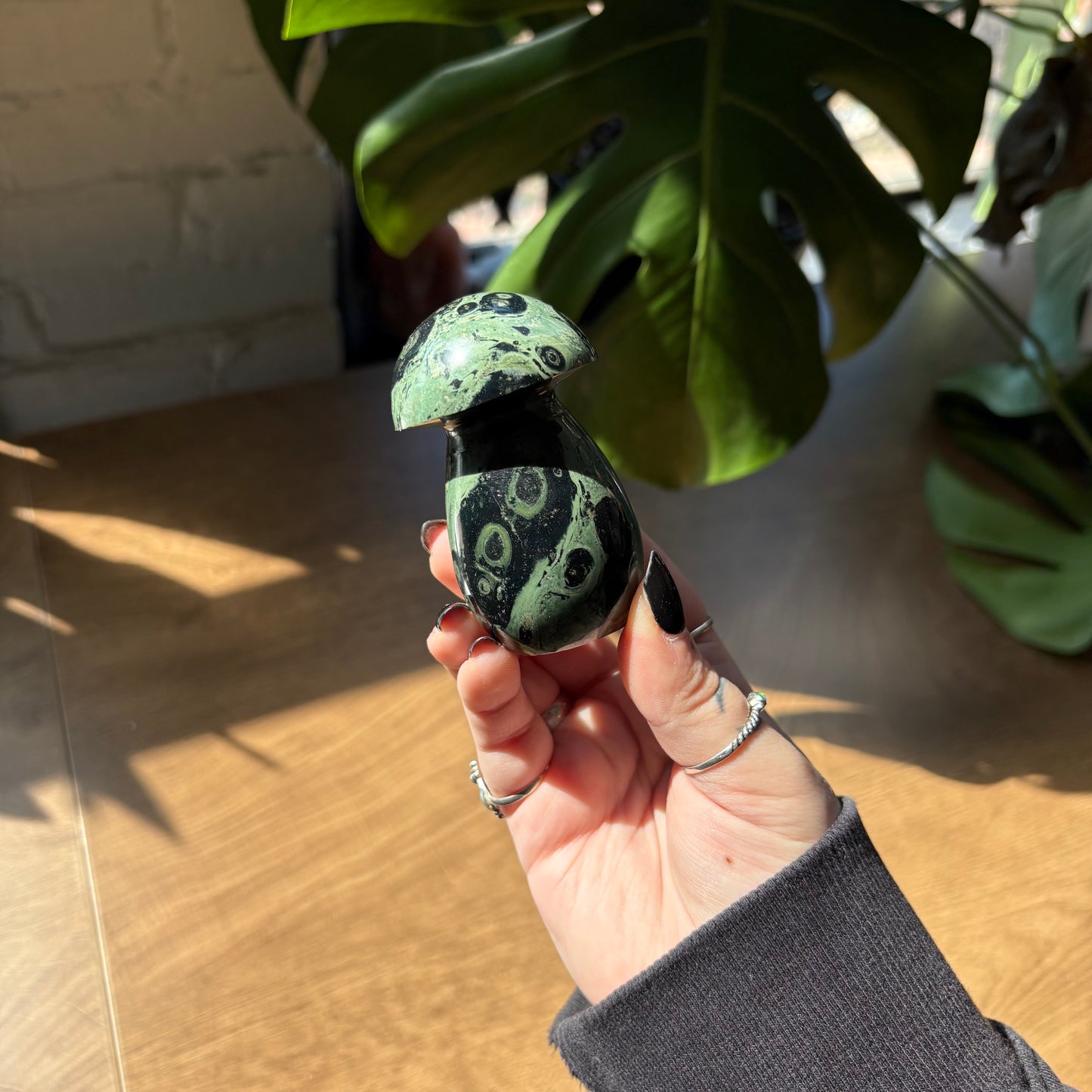 kambaba jasper mushroom