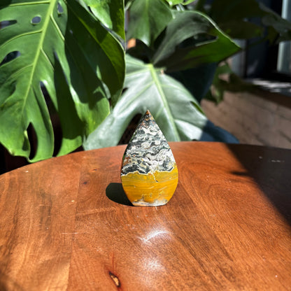 sea jasper flame