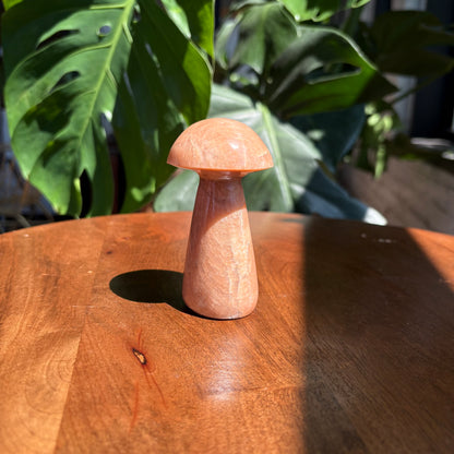peach moonstone mushroom
