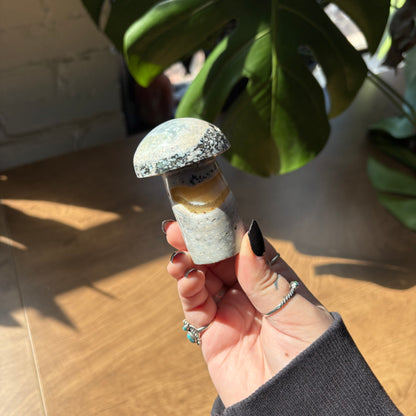 ocean jasper mushroom