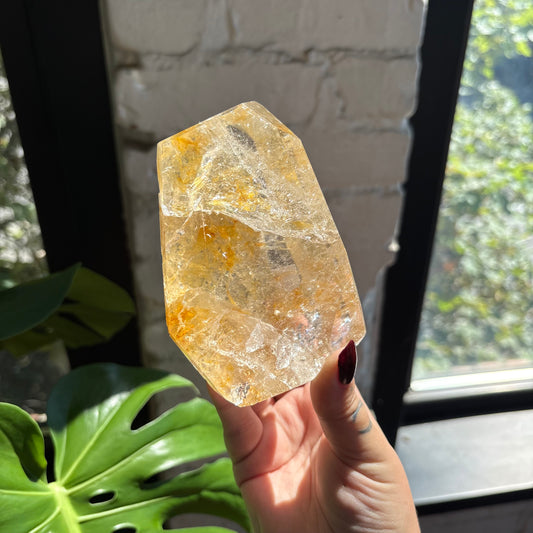 golden healer freeform