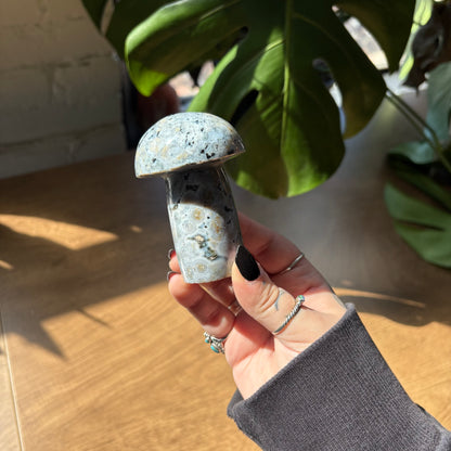 ocean jasper mushroom
