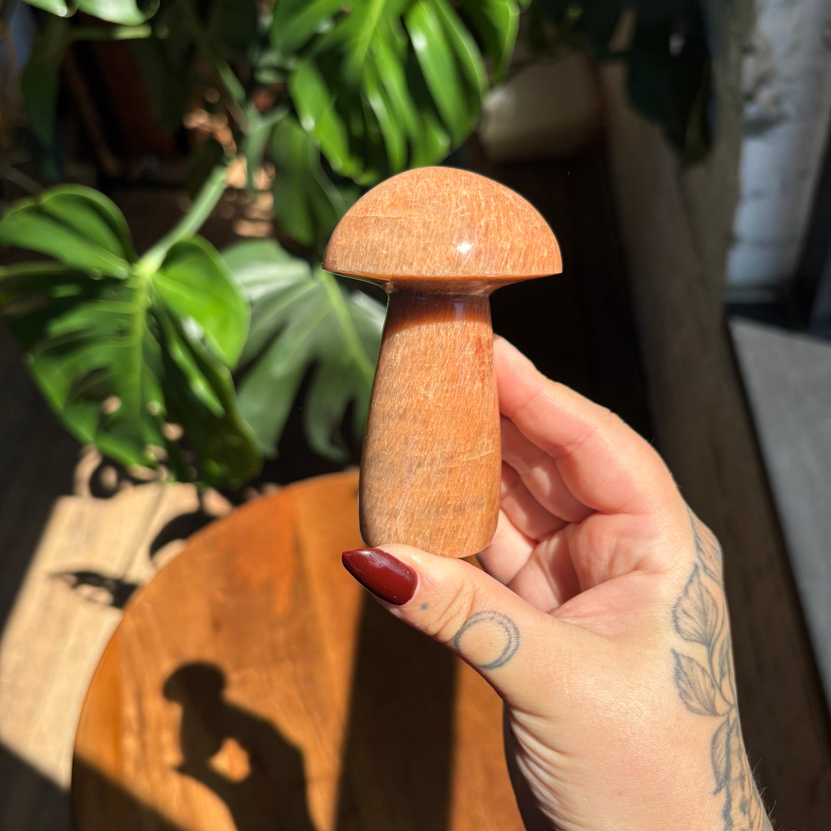 peach moonstone mushroom