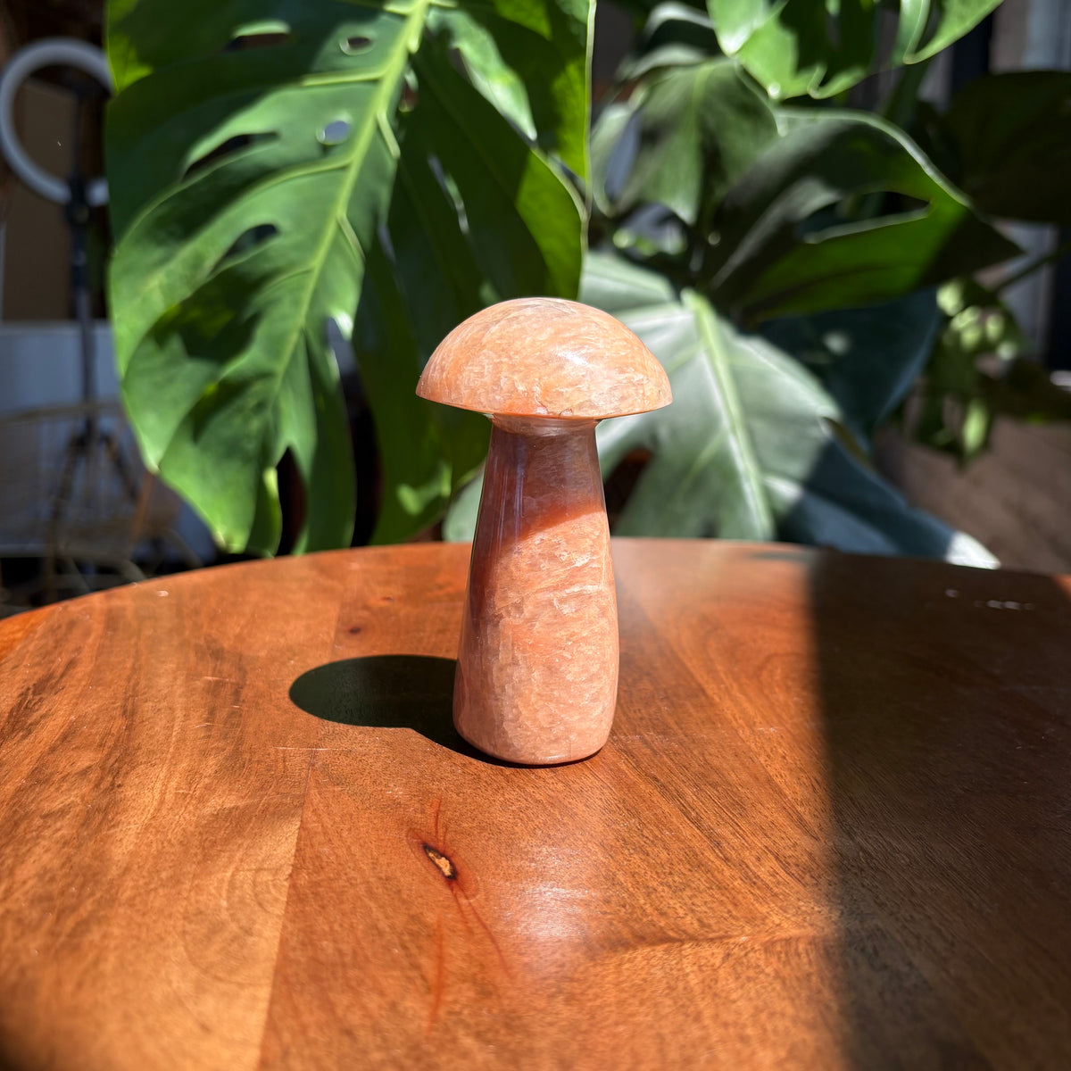 peach moonstone mushroom