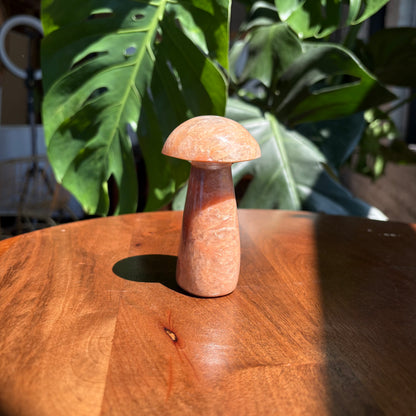 peach moonstone mushroom