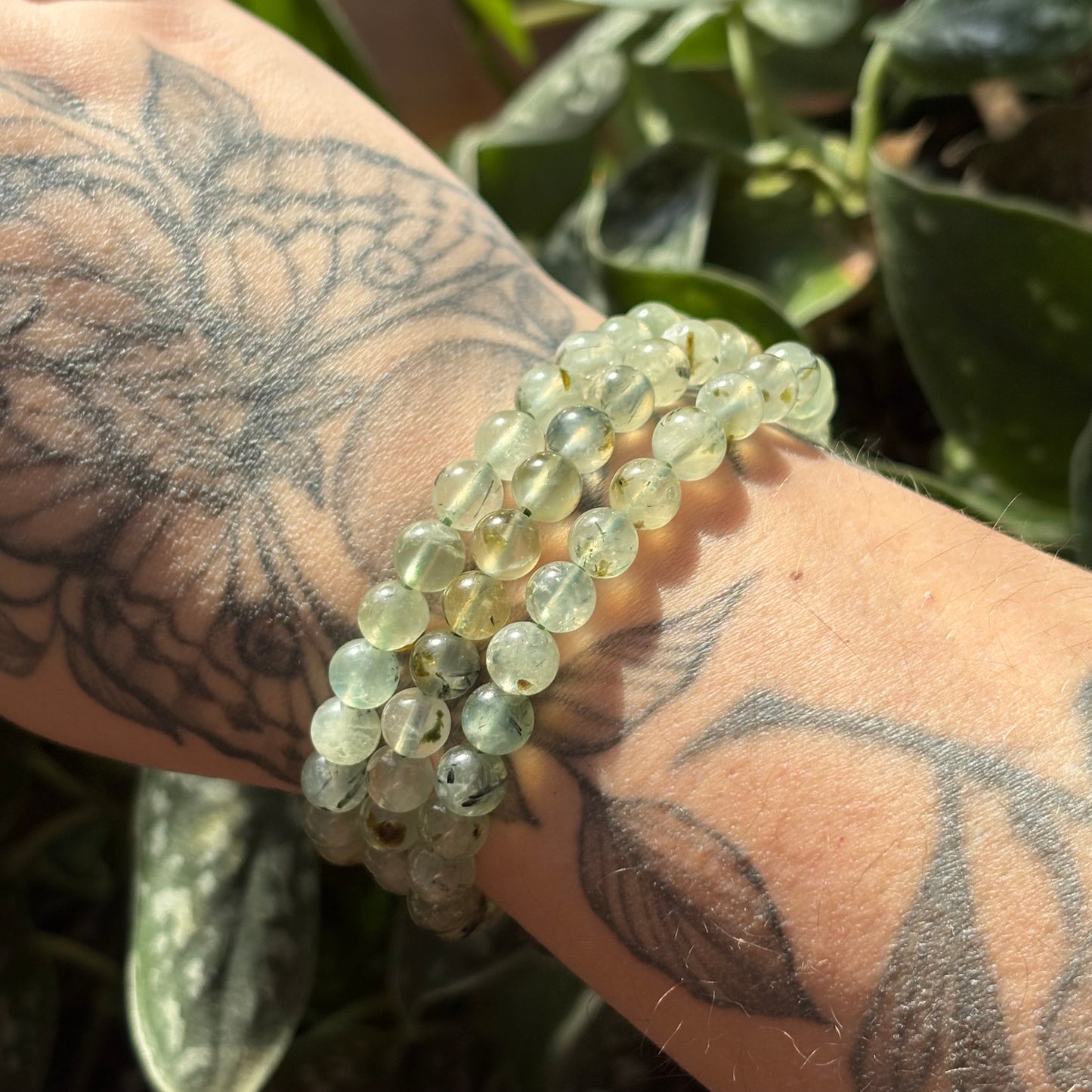 Prehnite Bracelet