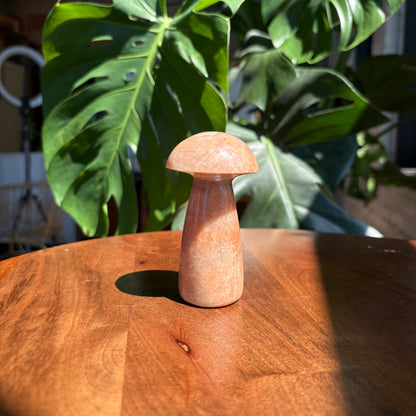 peach moonstone mushroom
