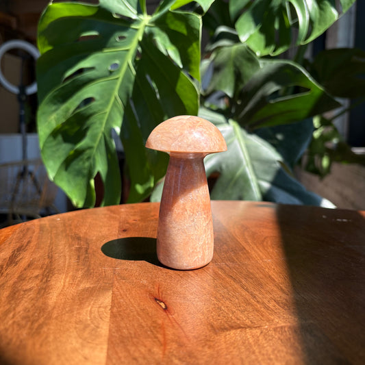 peach moonstone mushroom