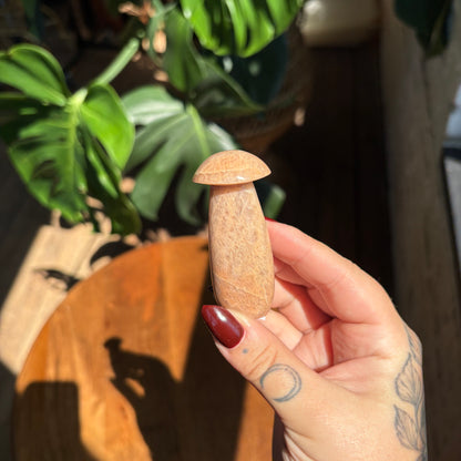 peach moonstone mushroom