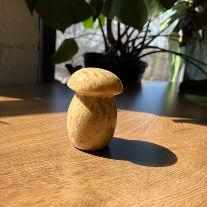 peach moonstone mushroom