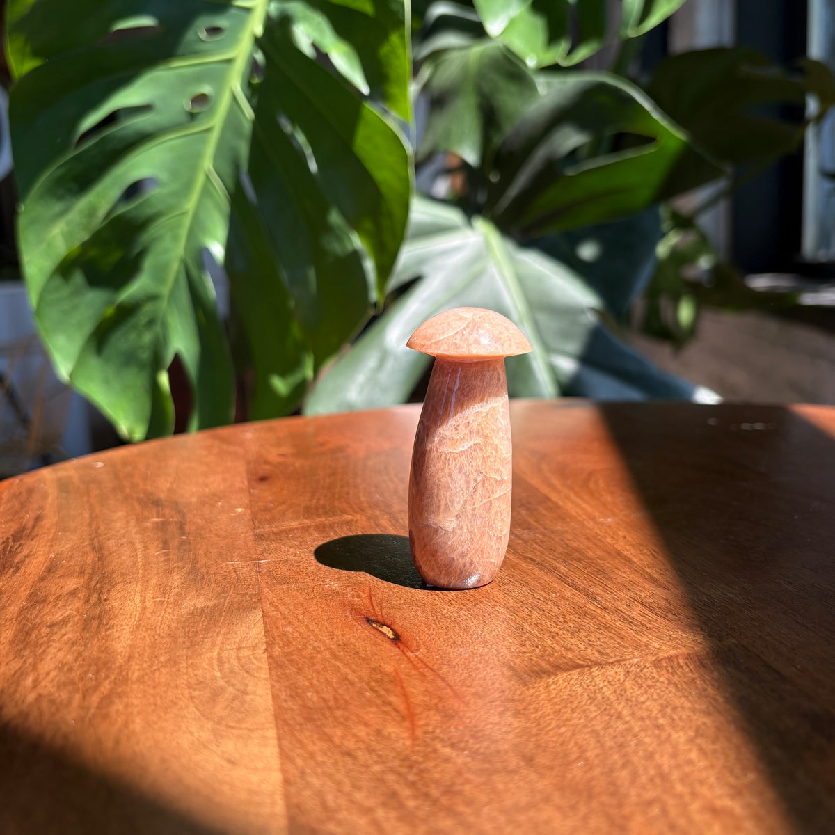 peach moonstone mushroom