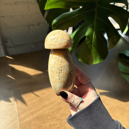 peach moonstone mushroom