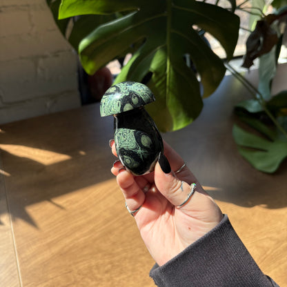 kambaba jasper mushroom