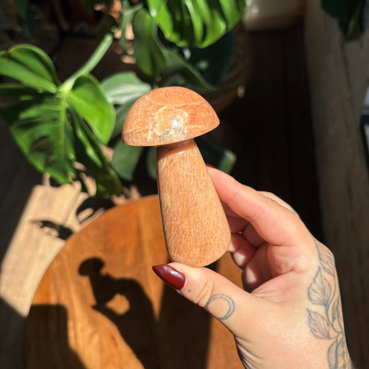 peach moonstone mushroom
