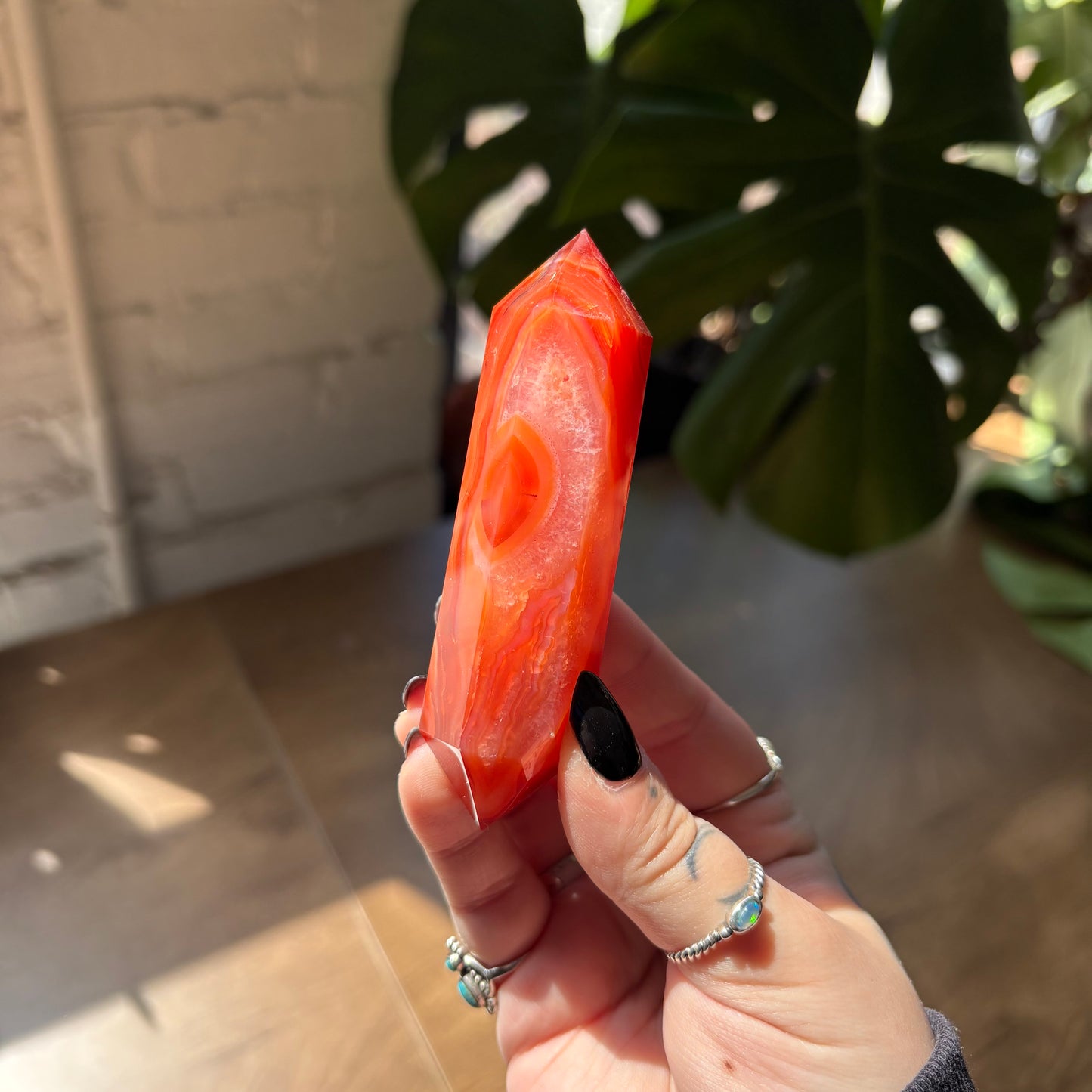 carnelian dt