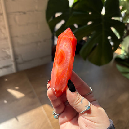 carnelian dt