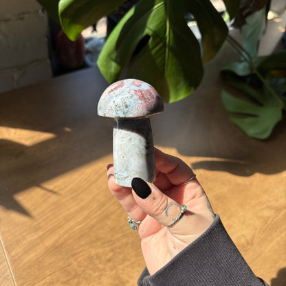 ocean jasper mushroom