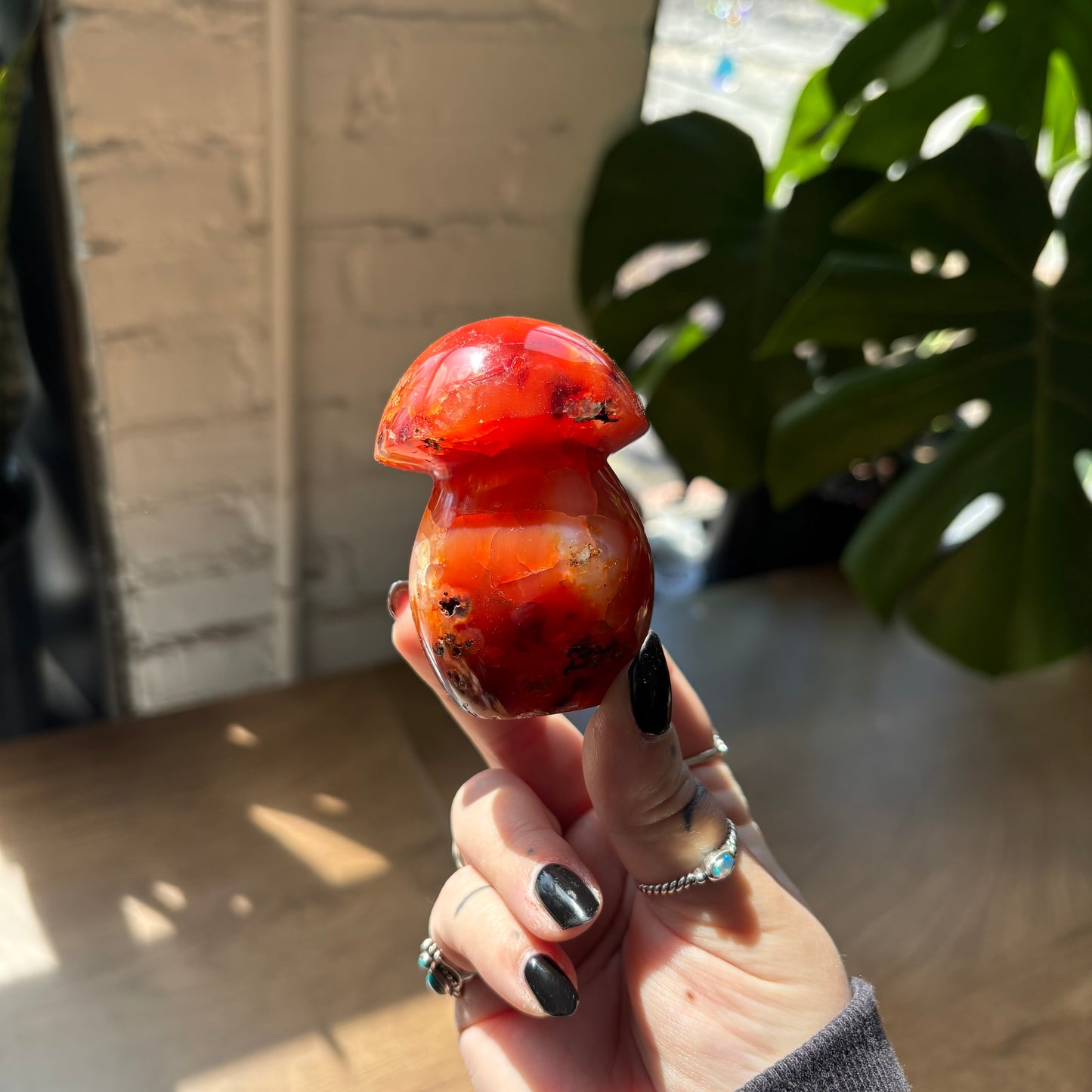 carnelian mushroom