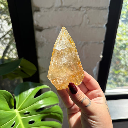 golden healer freeform