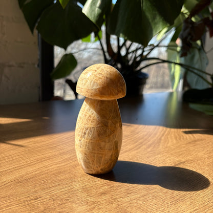 peach moonstone mushroom