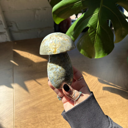 ocean jasper mushroom