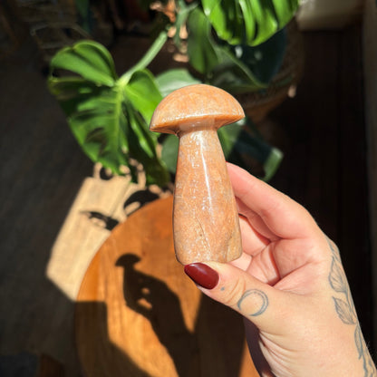 peach moonstone mushroom