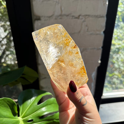 golden healer freeform