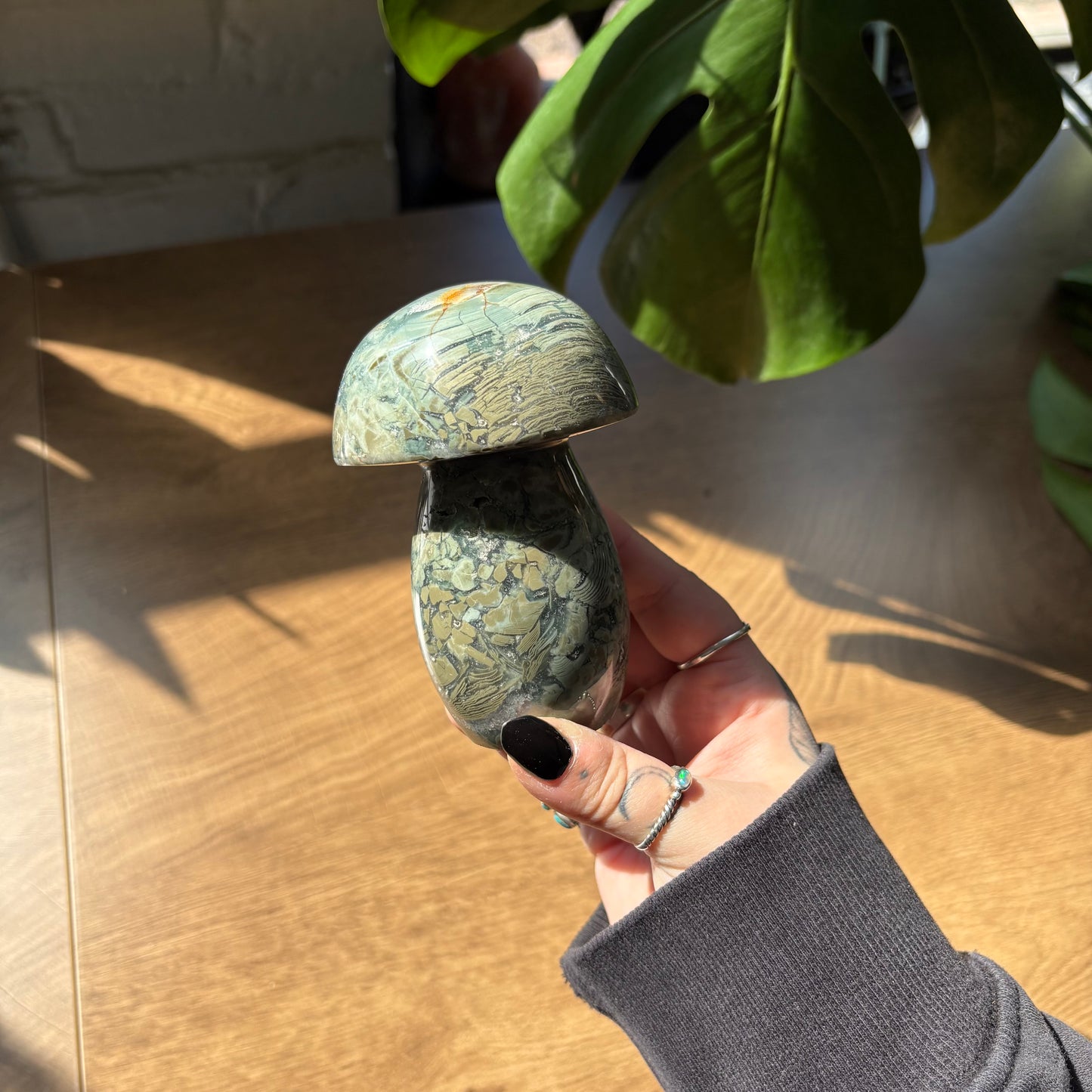 ocean jasper mushroom