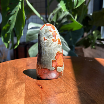 polychrome jasper freeform