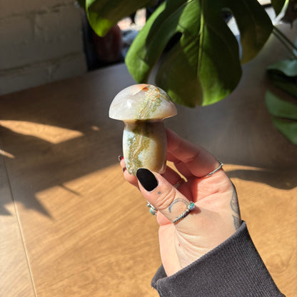 ocean jasper mushroom