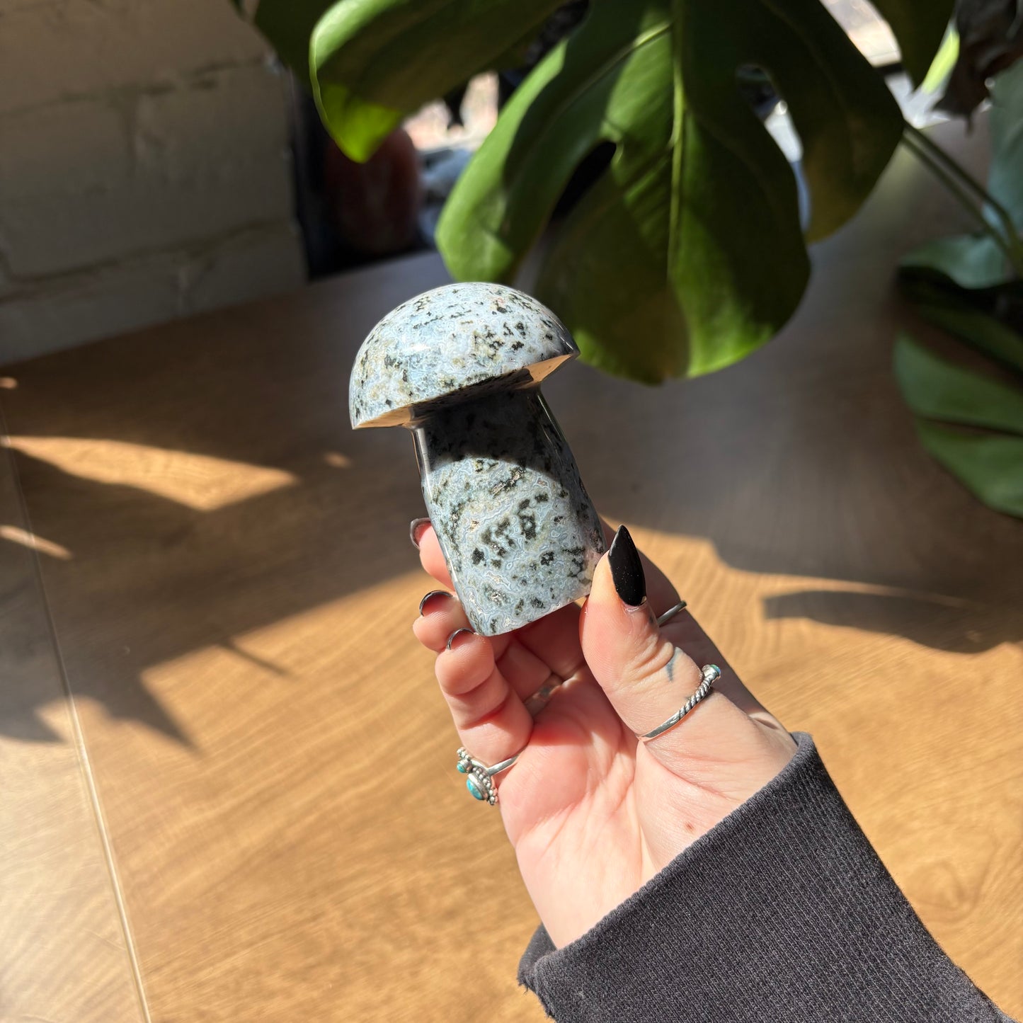 ocean jasper mushroom