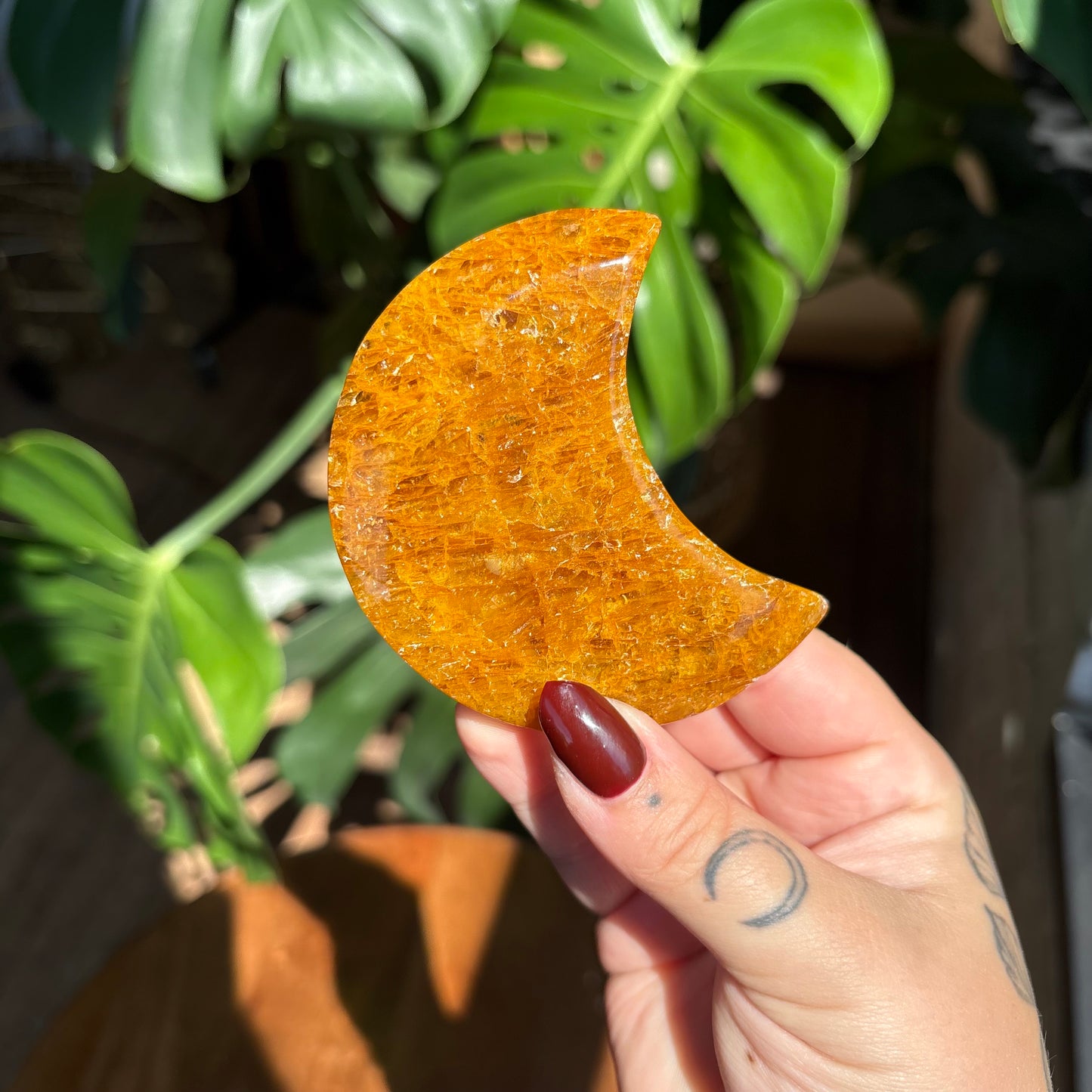 golden healer moon