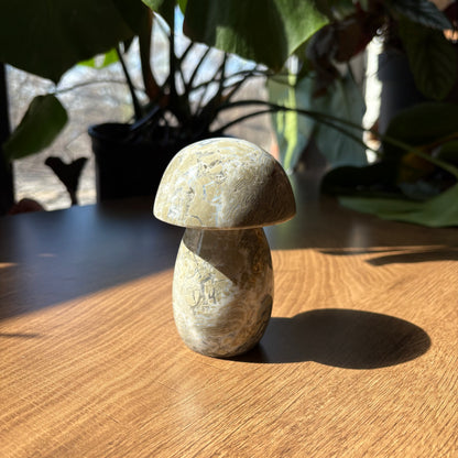 ocean jasper mushroom