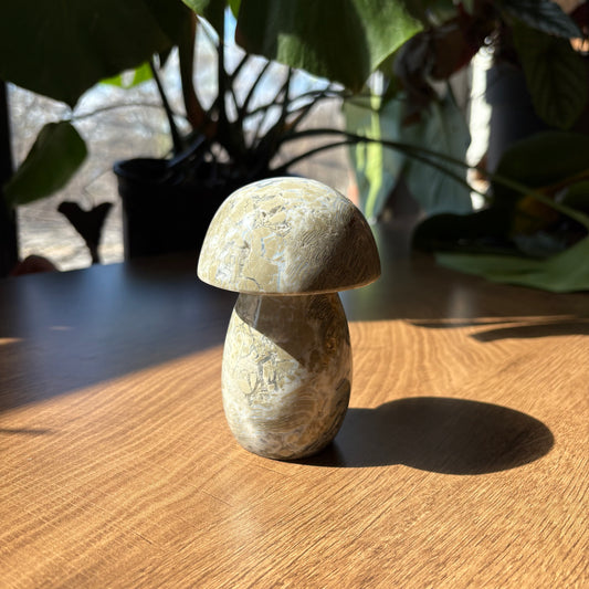 ocean jasper mushroom