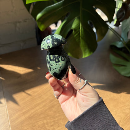kambaba jasper mushroom