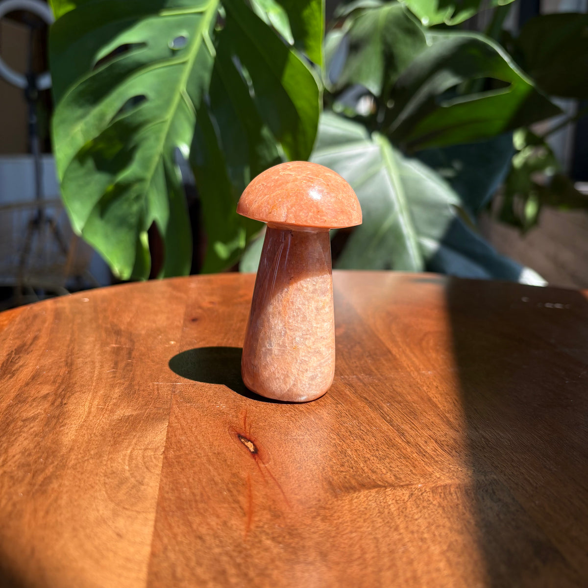 peach moonstone mushroom
