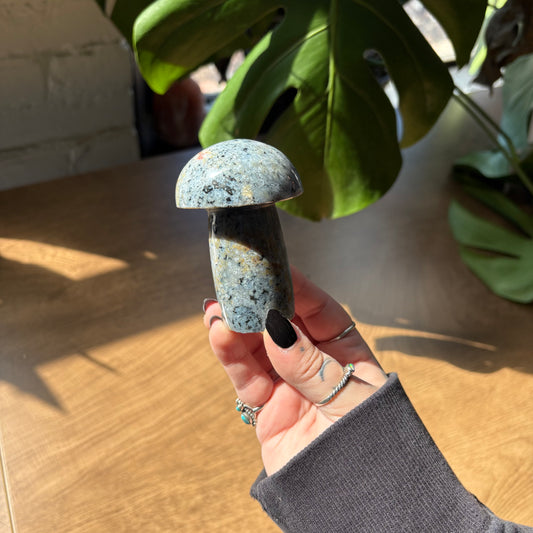 ocean jasper mushroom