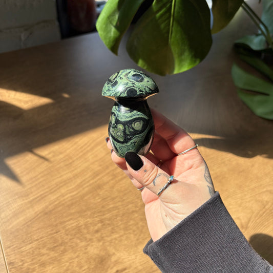 kambaba jasper mushroom