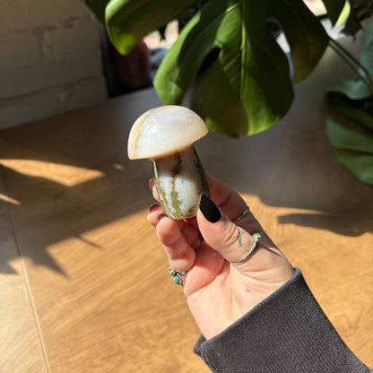 ocean jasper mushroom