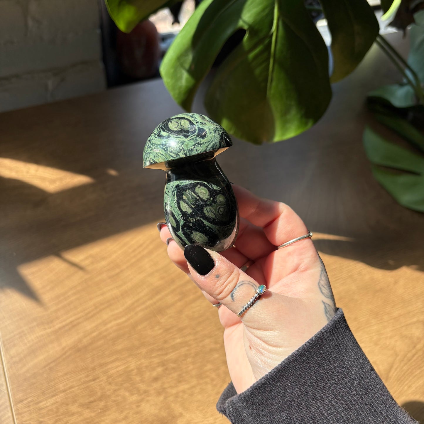kambaba jasper mushroom