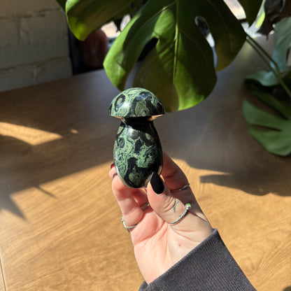 kambaba jasper mushroom