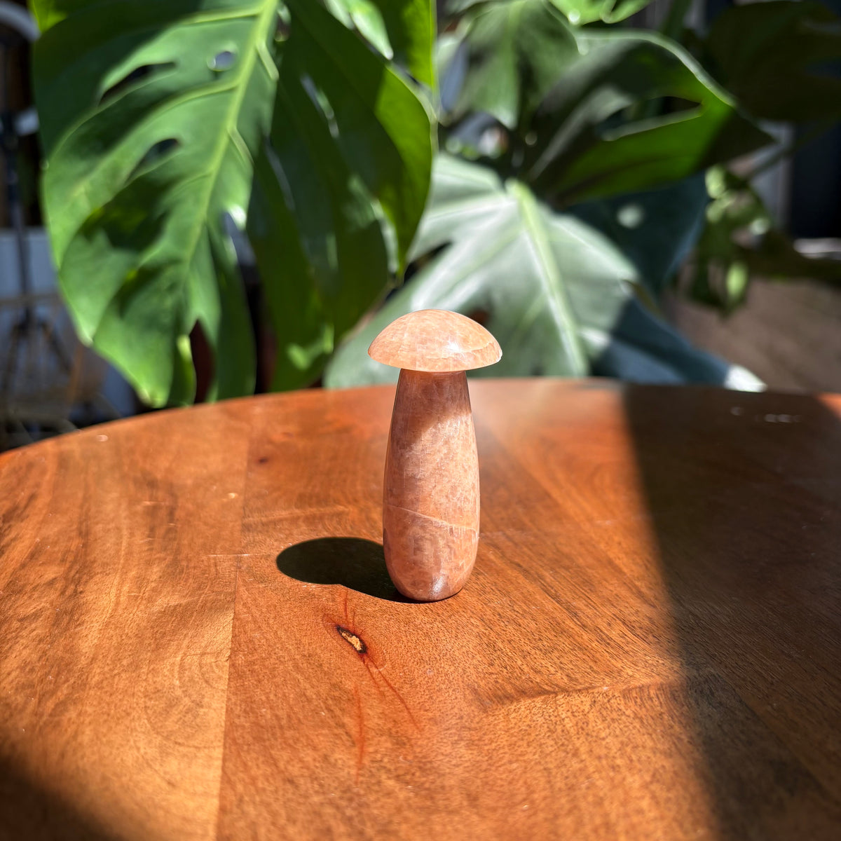 peach moonstone mushroom