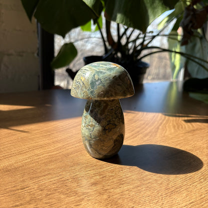 ocean jasper mushroom