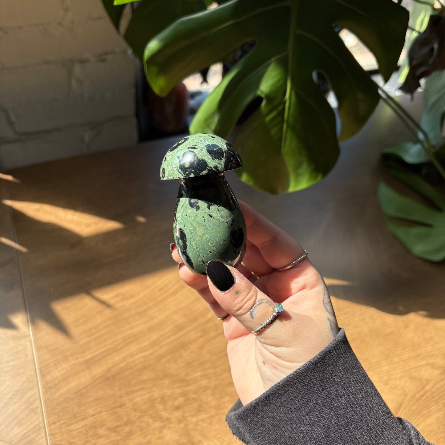 kambaba jasper mushroom