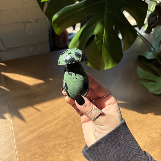 kambaba jasper mushroom