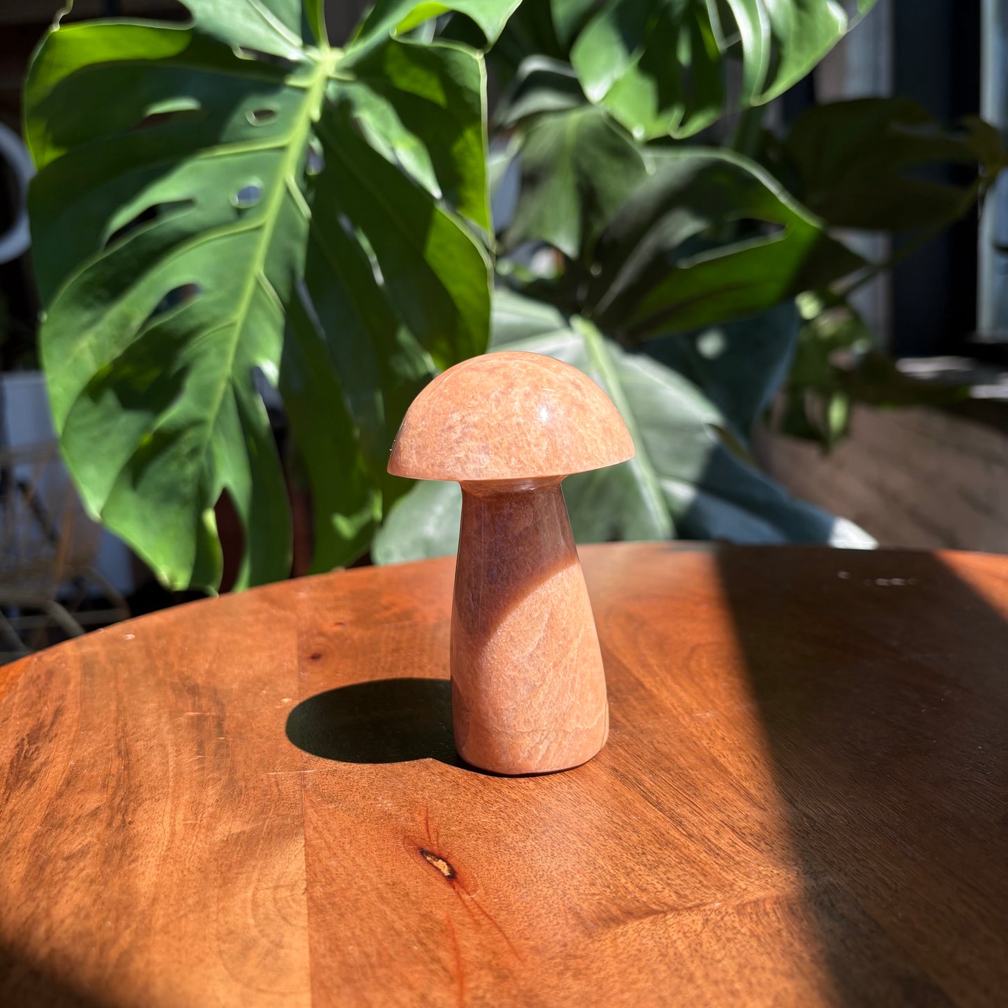 peach moonstone mushroom