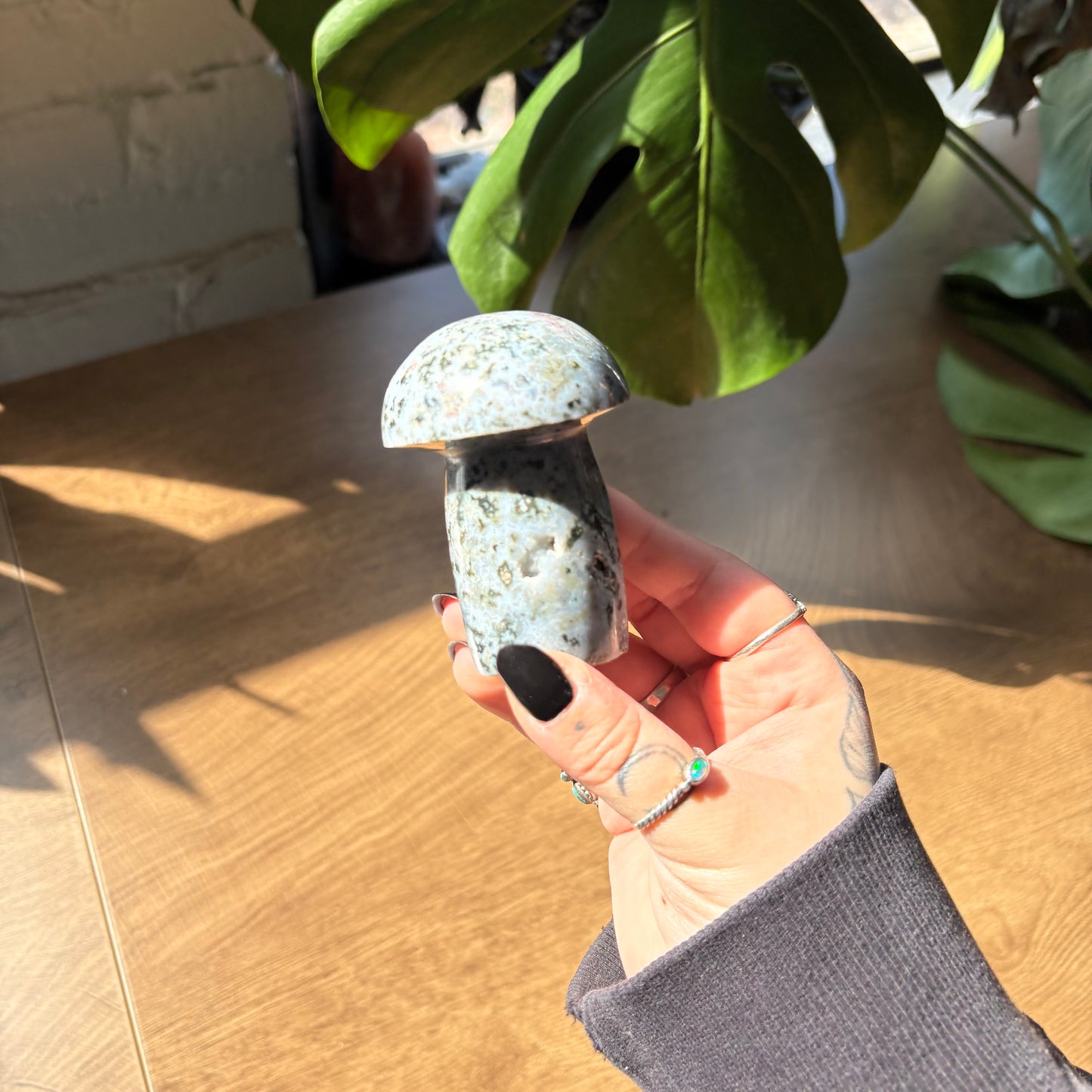 ocean jasper mushroom